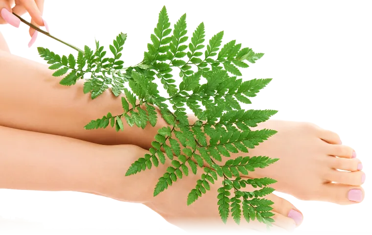 Two bare feet with a fresh fern frond laid across them.
